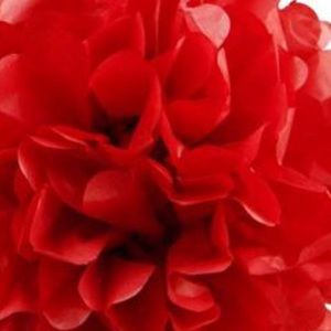 Meet your Posher, Nakia